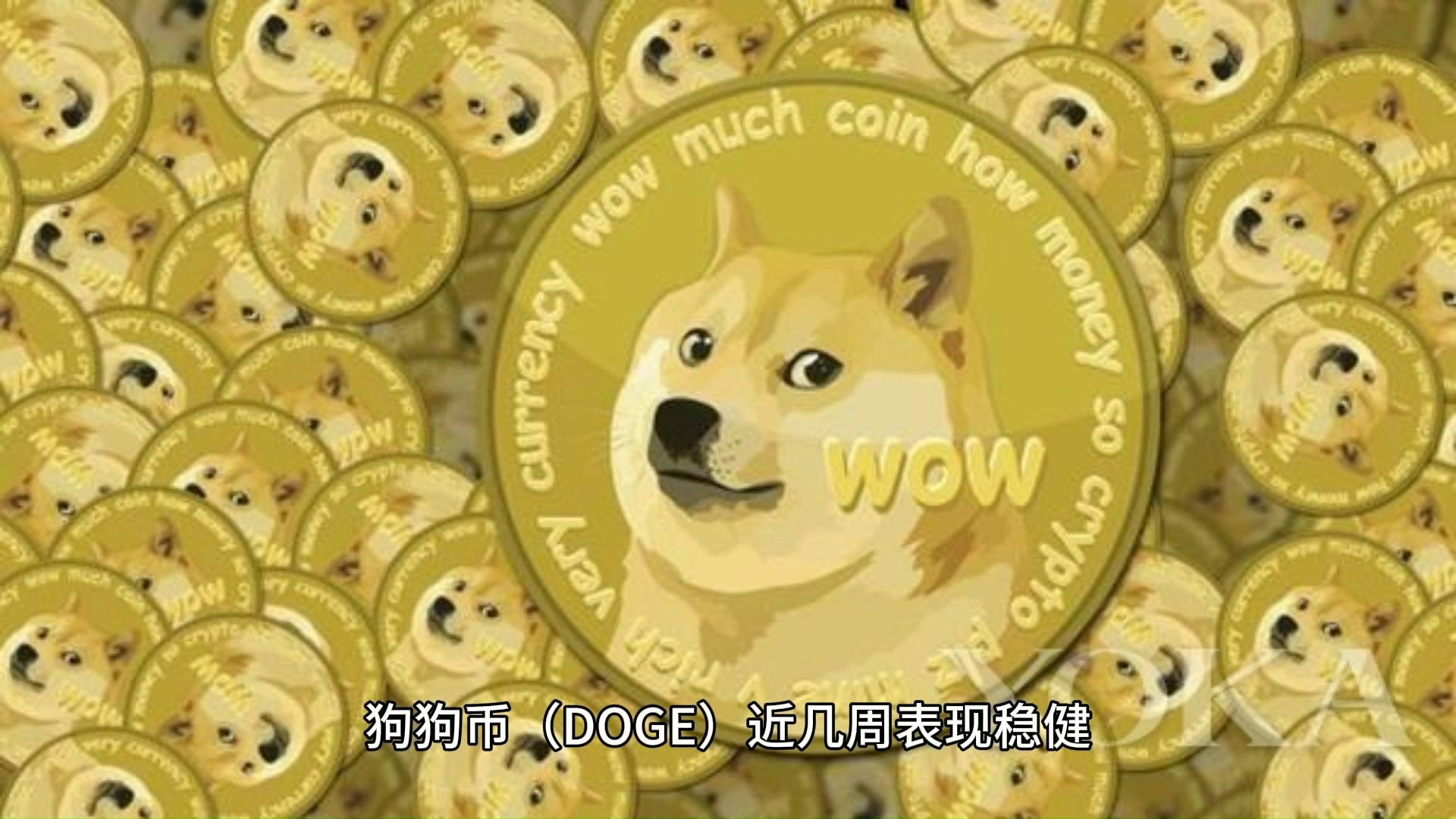 专家称XRP将在年底冲破狗狗币美元，引发引发关注的简单介绍-爱游戏APP